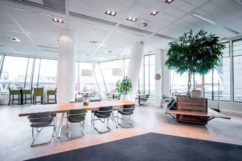 The light-filled break area on the office floor, with a shared table, a large indoor tree and windows overlooking the station roof.